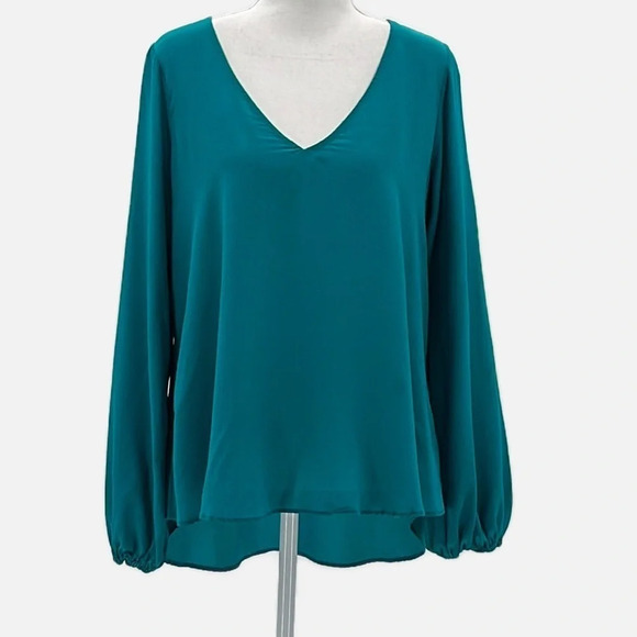 Lavender Brown 100% Silk V Neck Long Sleeve Blouse in Turquoise - Size Large - Picture 1 of 8